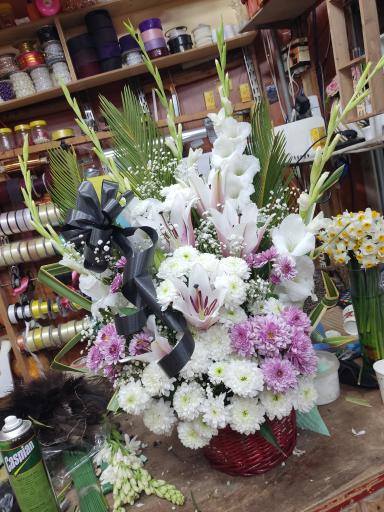 عکس گل فروشی نادری