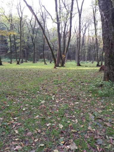 عکس ایستگاه راه آهن شیرگاه