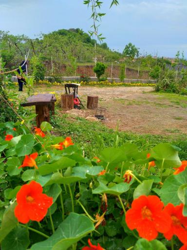 عکس اقامتگاه روستایی افرا 