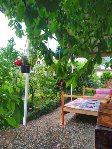 عکس اقامتگاه روستایی افرا 