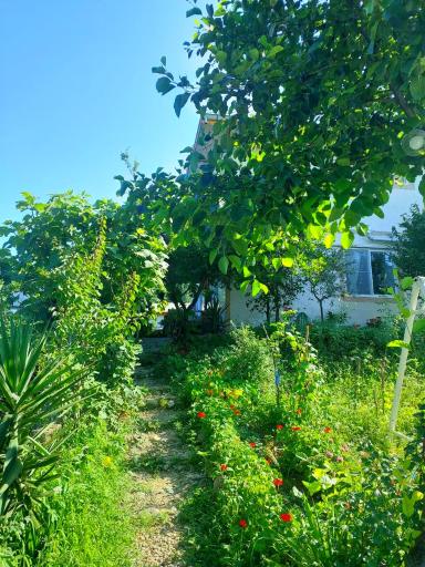 عکس اقامتگاه روستایی افرا 