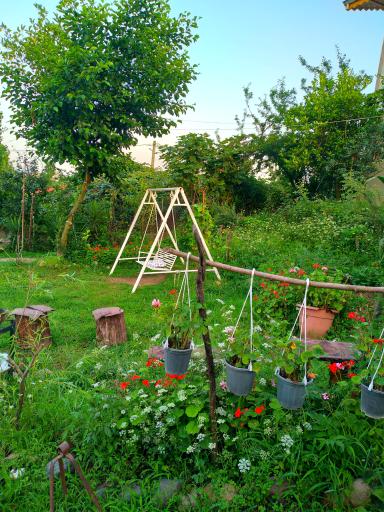 عکس اقامتگاه روستایی افرا 