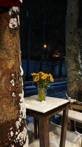 عکس کافه مزه