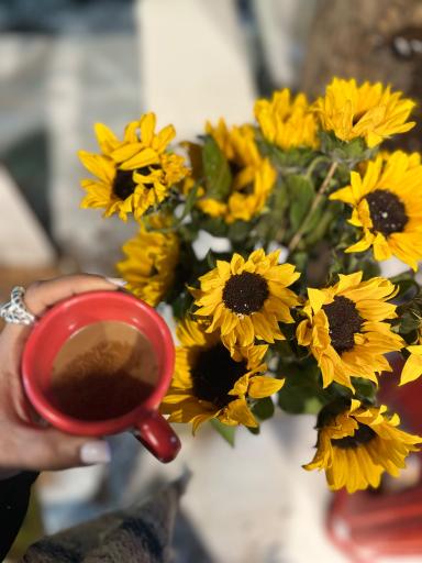 عکس کافه مزه