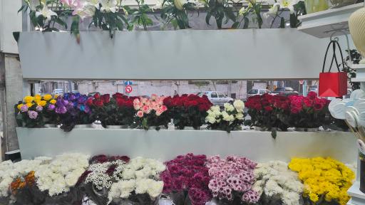 عکس گل ارینتال