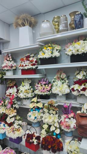 عکس گل ارینتال