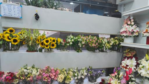 عکس گل ارینتال