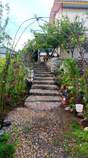 عکس اقامتگاه روستایی افرا 