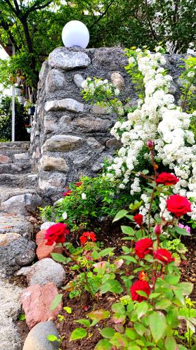 عکس اقامتگاه روستایی افرا 