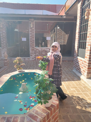 عکس کلبه دورهمی نخل