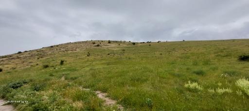 عکس گردشگاه سلطان یعقوب