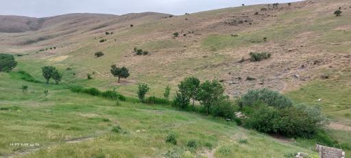 عکس گردشگاه سلطان یعقوب