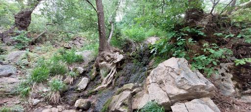 عکس گردشگاه سلطان یعقوب