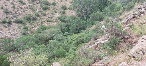 عکس گردشگاه سلطان یعقوب