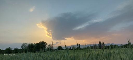 عکس گردشگاه سلطان یعقوب