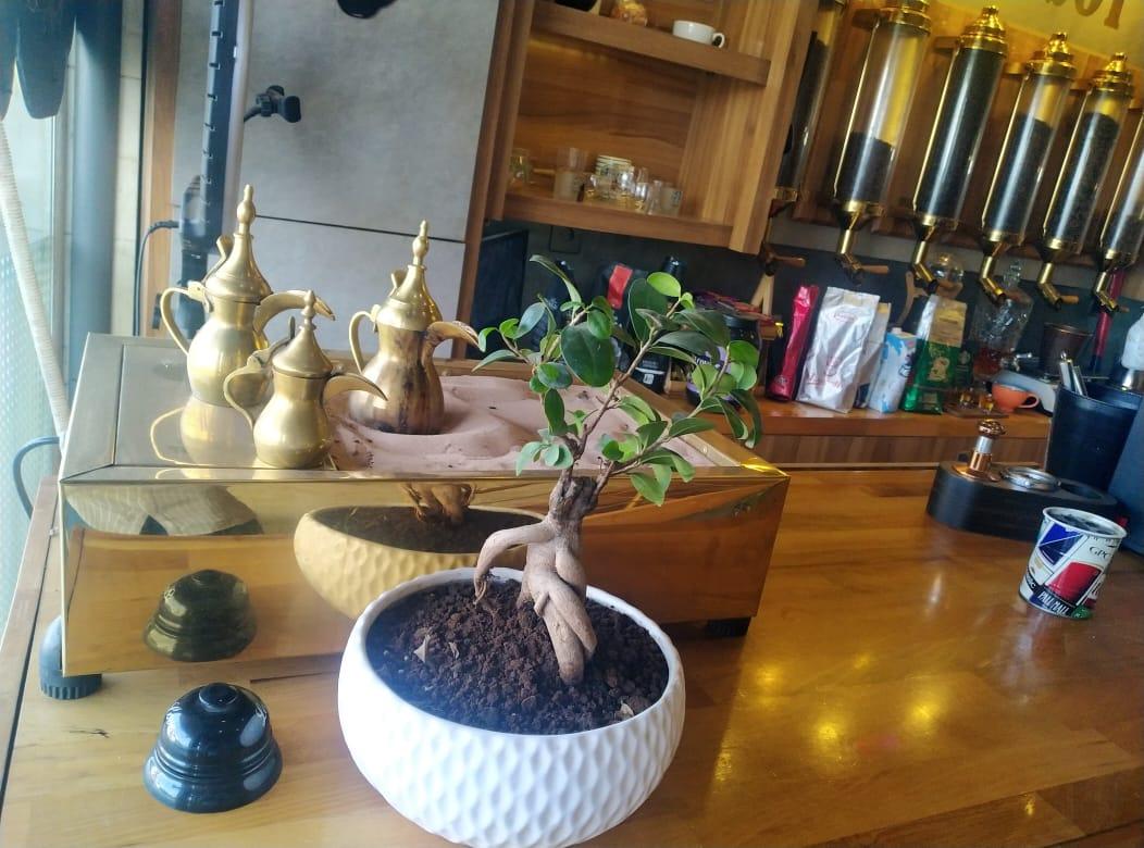 عکس کافه اسپرسُل