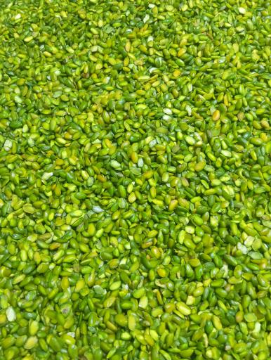 عکس آجیل و خشکبار قزوین