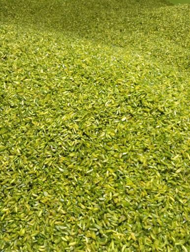 عکس آجیل و خشکبار قزوین