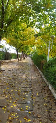 عکس بوستان شهروند
