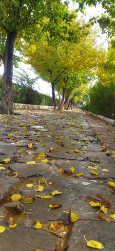 عکس بوستان شهروند