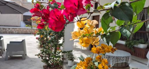 عکس کافه گالری گلستان 