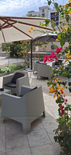 عکس کافه گالری گلستان 