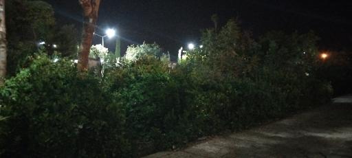 عکس بوستان شهروند