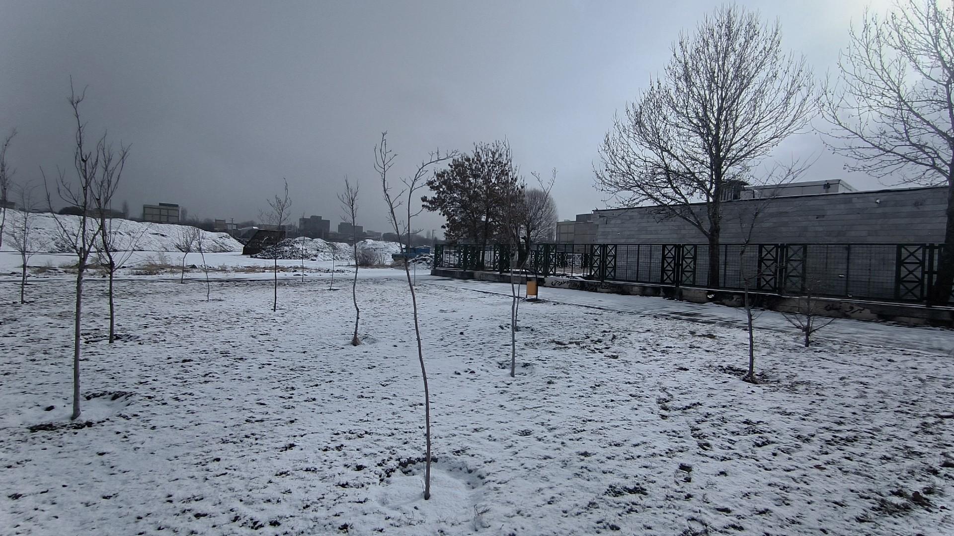 عکس پارک شقایق