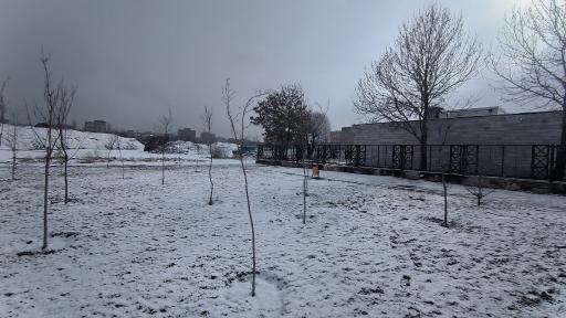 عکس پارک شقایق