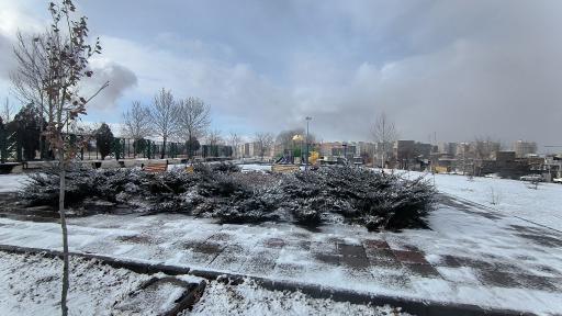 عکس پارک شقایق