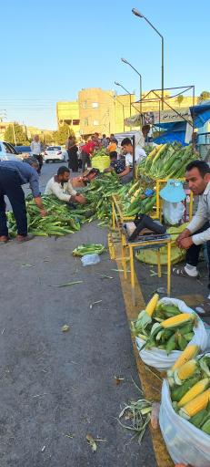 عکس اهر
