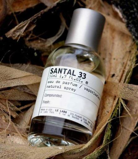 عطر و ادکلن کاکتوس