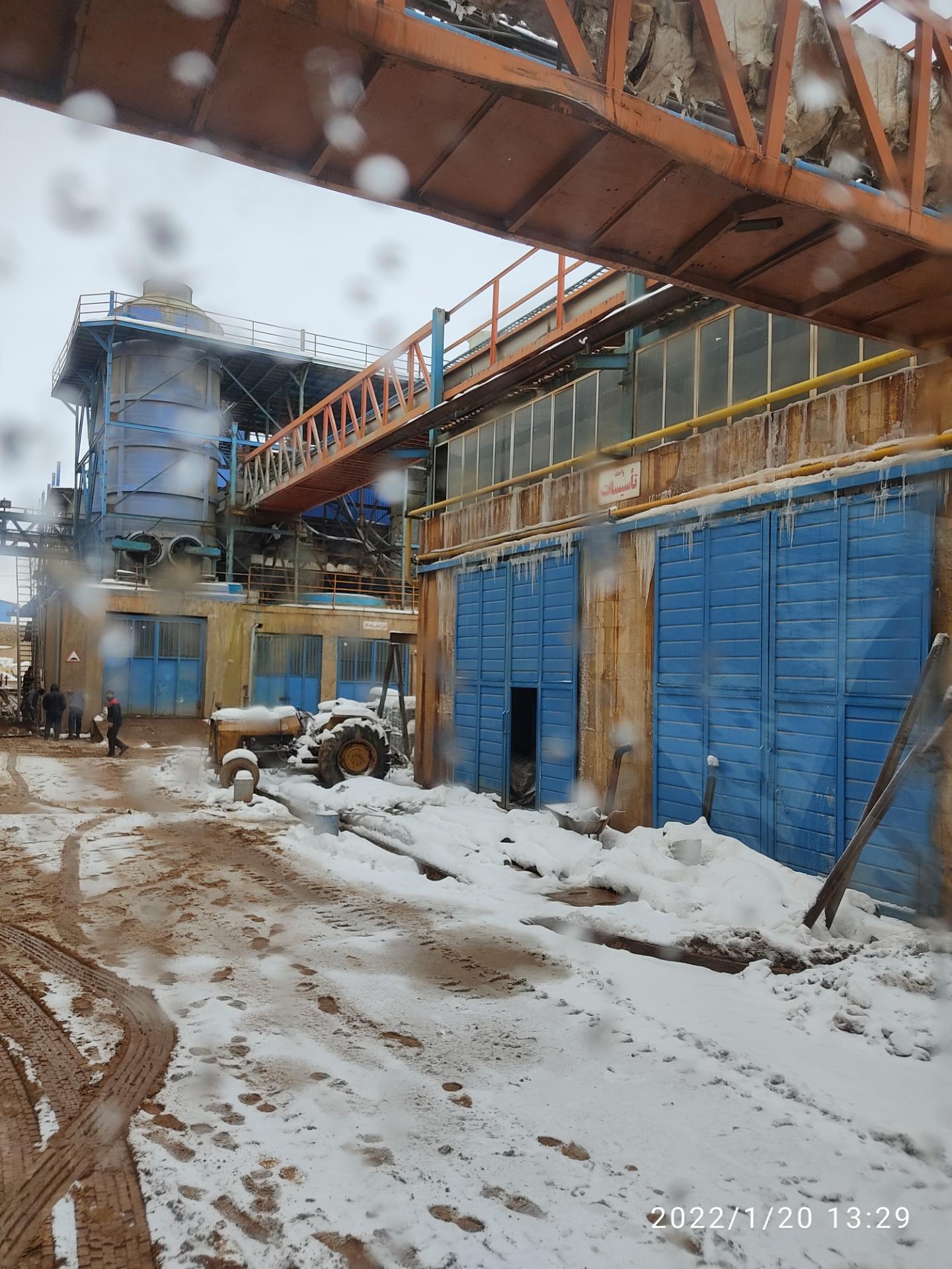 عکس شرکت روی پرور