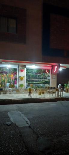 عکس گل دکتر کاکتوس