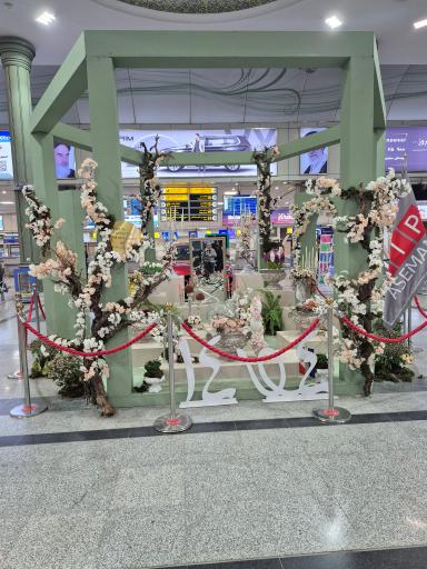 عکس فرودگاه بین المللی شهید بهشتی اصفهان