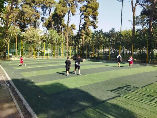 عکس زمین چمن باغ بزرگ