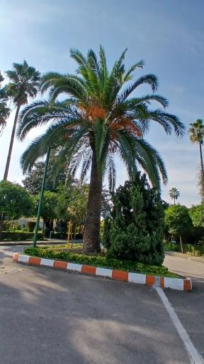 عکس شهرک دریا شهر 