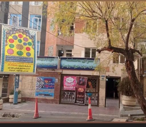 عکس مهد کودک و پیش دبستانی شکوفه های گل نرگس