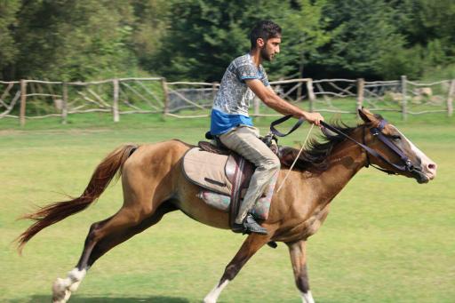 عکس پیست اسب سواری