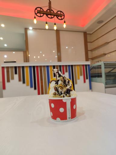 عکس خانه شیر یخ