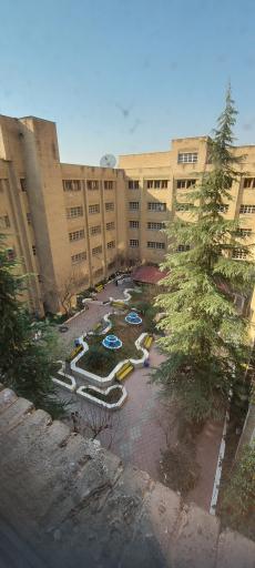 عکس دانشگاه تربیت مدرس