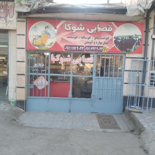 عکس قصابی شوکا