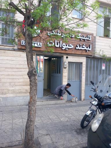 عکس کلینیک دامپزشکی لبخند حیوانات