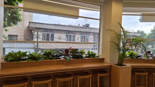 عکس کافه رستوران میورا