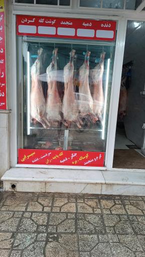 قصابی مجتبی 