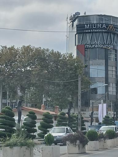 عکس کافه رستوران میورا
