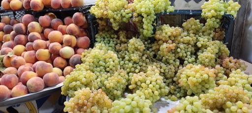 عکس سوپر میوه عابدین پور 