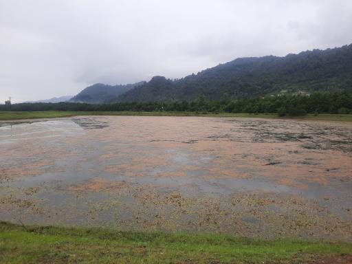 عکس دریاچه پیرهرات