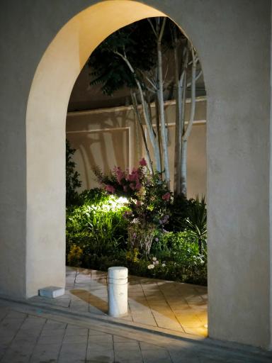 عکس گذر آقا نورالله نجفی