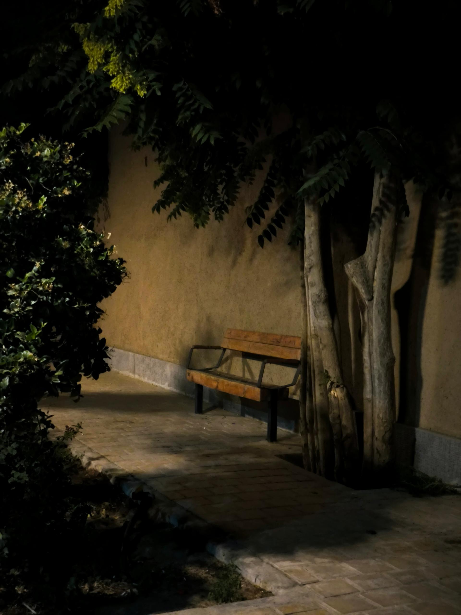 عکس گذر آقا نورالله نجفی